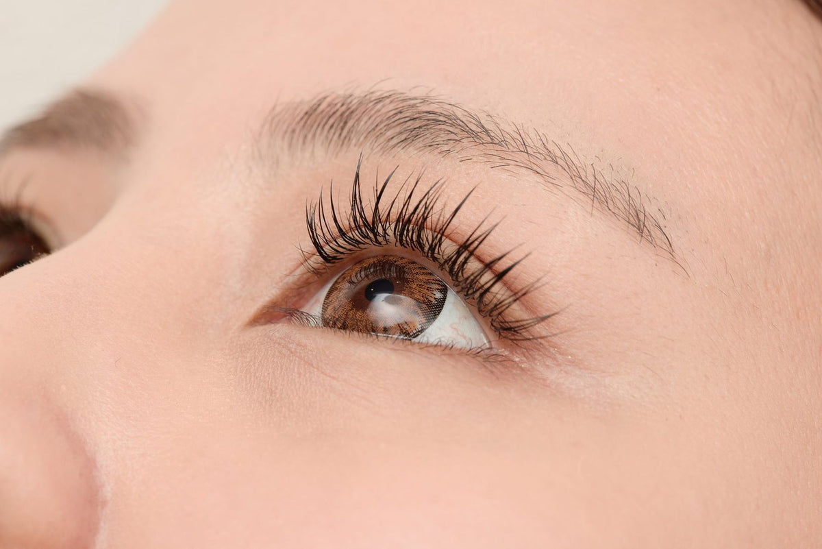 Electric Eyelash Curler